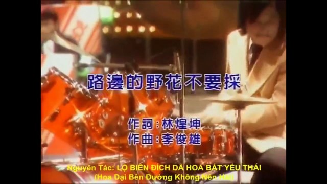 cách học tốt tiếng trung, bài hát : Hoa dại bên đường không nên hái