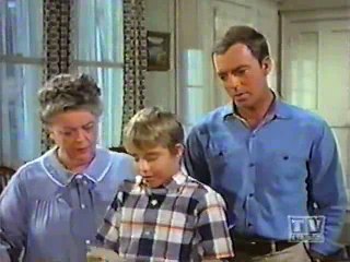 Mayberry RFD - S02E26 - The Mynah Bird