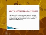Reverse Email Appending Services - B2B Email Epxerts
