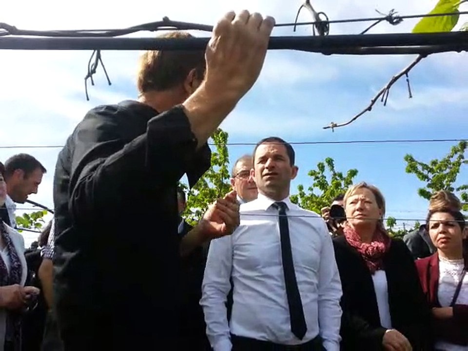 Lot-et-Garonne : Benoît Hamon rencontre un producteur de kiwis