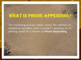 Phone Appending Services - B2B Email Experts