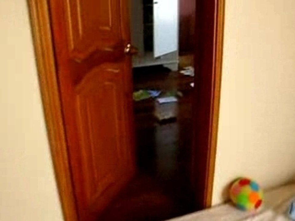 Visite de la maison de Pereira