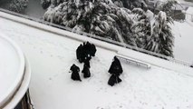 ¡Guerra de nieve entre monjes franciscanos!