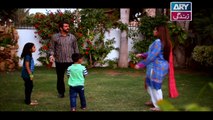 Dil-e-Barbad Episode 55 - on ARY Zindagi in High Quality - 17th April 2017