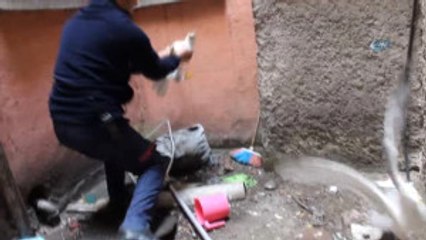 Bina Boşluğuna Sıkışan Martıları İtfaiye Kurtardı