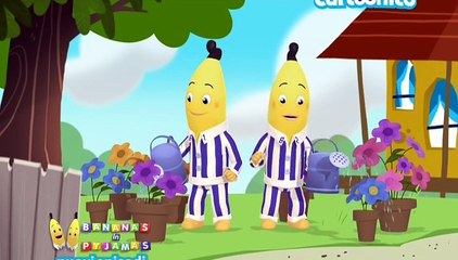 BANANAS in PYJAMAS-S2E50-Rat il giardiniere