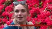 Bretagne : un parc unique de rhododendrons et d'azalées