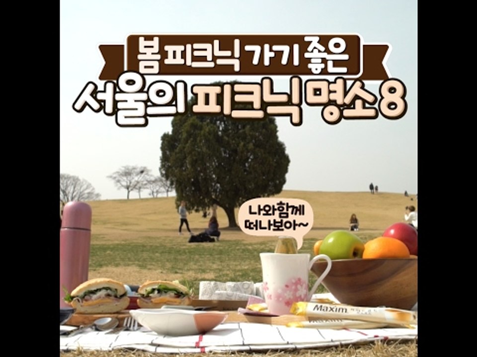 봄 피크닉 가기 좋은 서울의 피크닉 명소 9