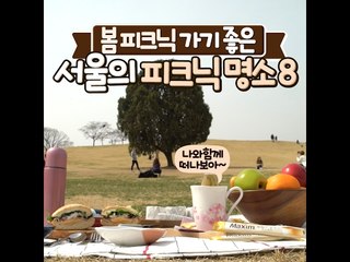 봄 피크닉 가기 좋은 서울의 피크닉 명소 9