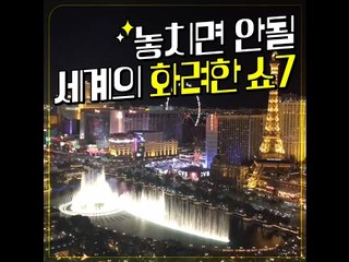 놓치면 안될 세계의 화려한 쇼 7