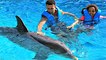 Kids Dolphin Ride - Swimming With Dolphins Family Fun Video In Mexico - Toys AndMe