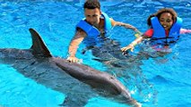 Kids Dolphin Ride - Swimming With Dolphins Family Fun Video In Mexico - Toys AndMe