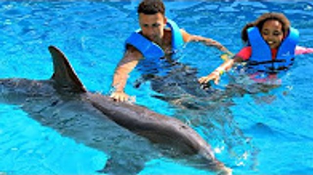 Kids Dolphin Ride - Swimming With Dolphins Family Fun Video In Mexico - Toys AndMe