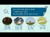 당신이 솔로인 이유는? [잼테스트 7회] #잼스터