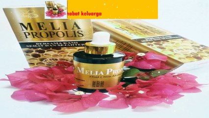 Apa itu Melia Propolis