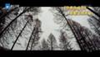 熟悉的味道2 第11期 20170416