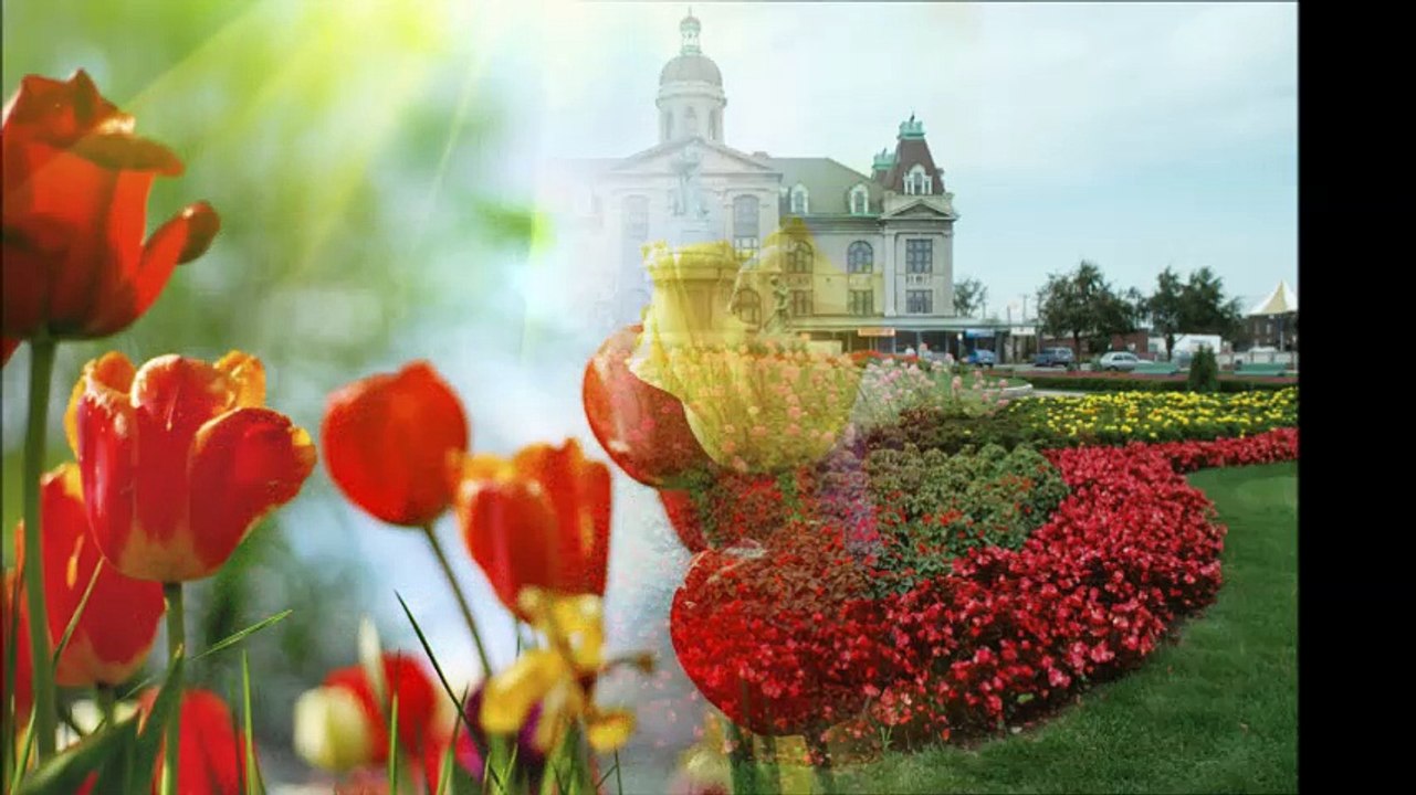 Friendly Island Landscape - (801) 692-7968