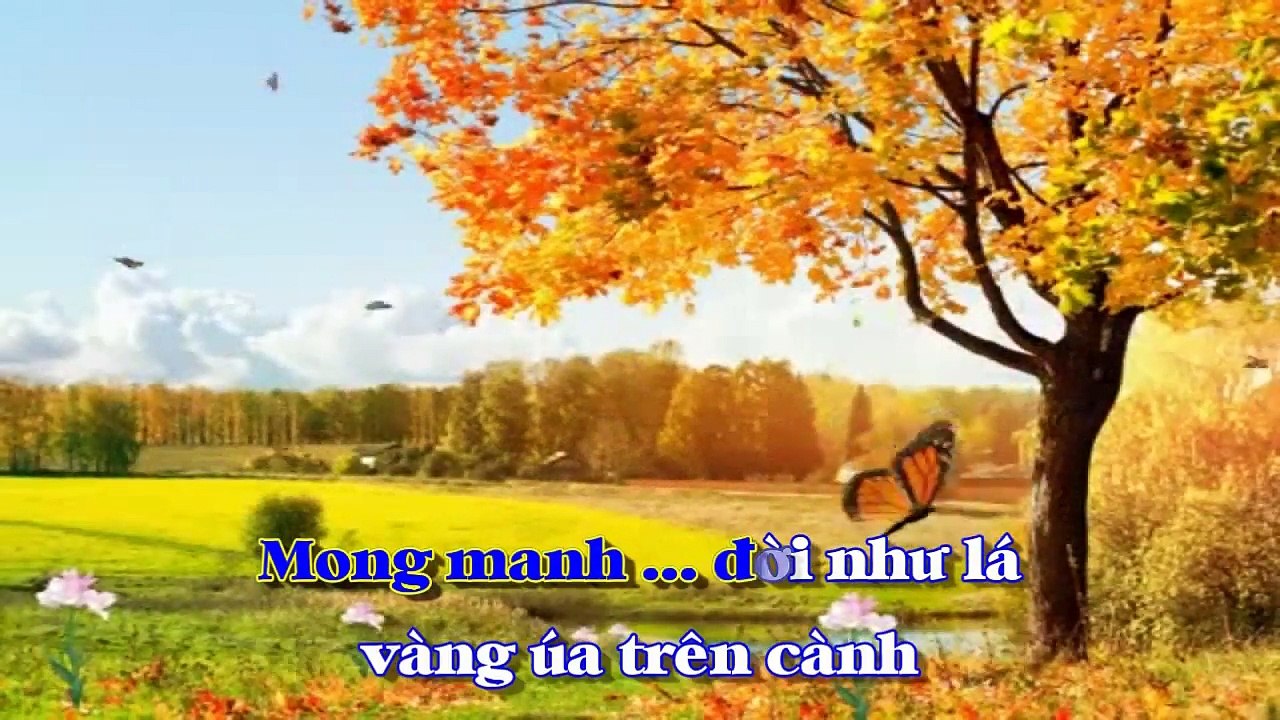 [Karaoke] NỖI ĐAU MUỘN MÀNG - Ngô Thụy Miên