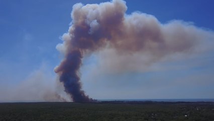 Drone Footage Captures Aftermath of Florida Wildfire Near Weeki Wachee