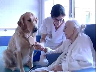 Hopital Bretonneau, lieu de soins, lieu de vies