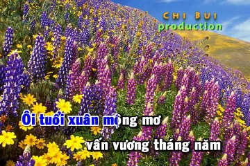 [HD] Chiều buồn nghe vọng kim lang- Karaoke