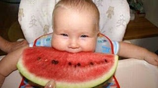 Top 10 Funny Baby Videos (2017)