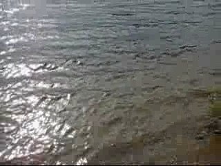 Chalet réserve faunique de papineau labelle