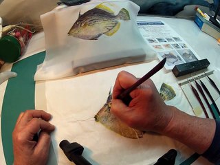 山本龍香指導：目の描き方　カワハギカラー魚拓の場合　Painting the eye of file fish print by Mineo Ryuka Yamamoto