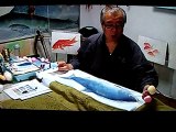 Mineo instruct print a salmon 2 of 3 apply color inks on boddy.AVI