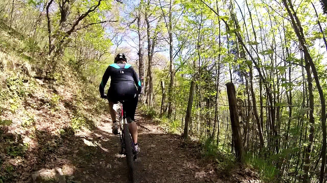 VTT Bonnabry