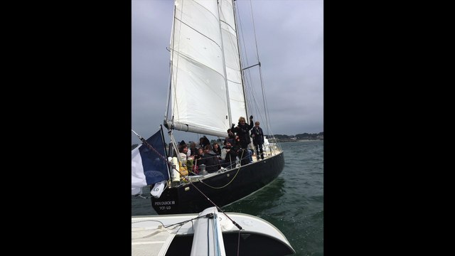 Mésange Noire et Libellules, hommage à Marco