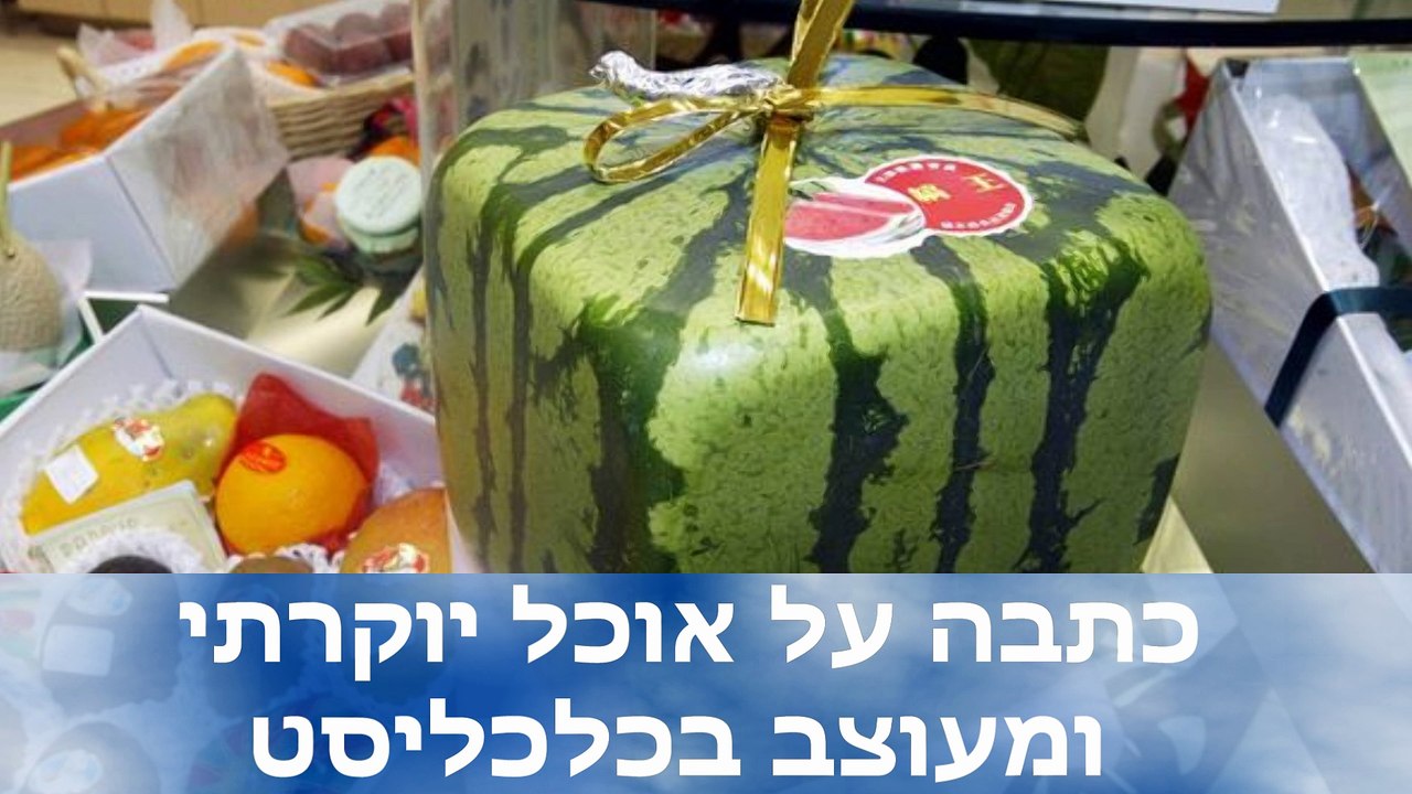 טוקבקיסטים שהצחיקו אותי - החיים שלנו תותים