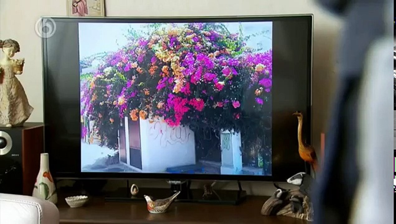 Oplichters In Het Buitenland Aflevering 1 Bali