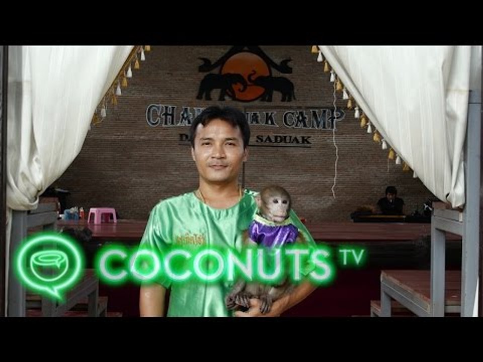 Monkey Man | Souls of Bangkok | Coconuts TV