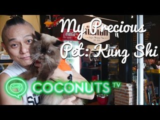 Kung Shi, the fat cat | My Precious Pet Episode 3 | Coconuts TV