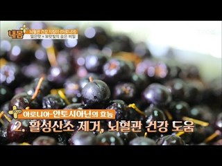 혈관 건강 지킴이 ‘아로니아’의 효능! [내 몸 플러스] 53회 20170409