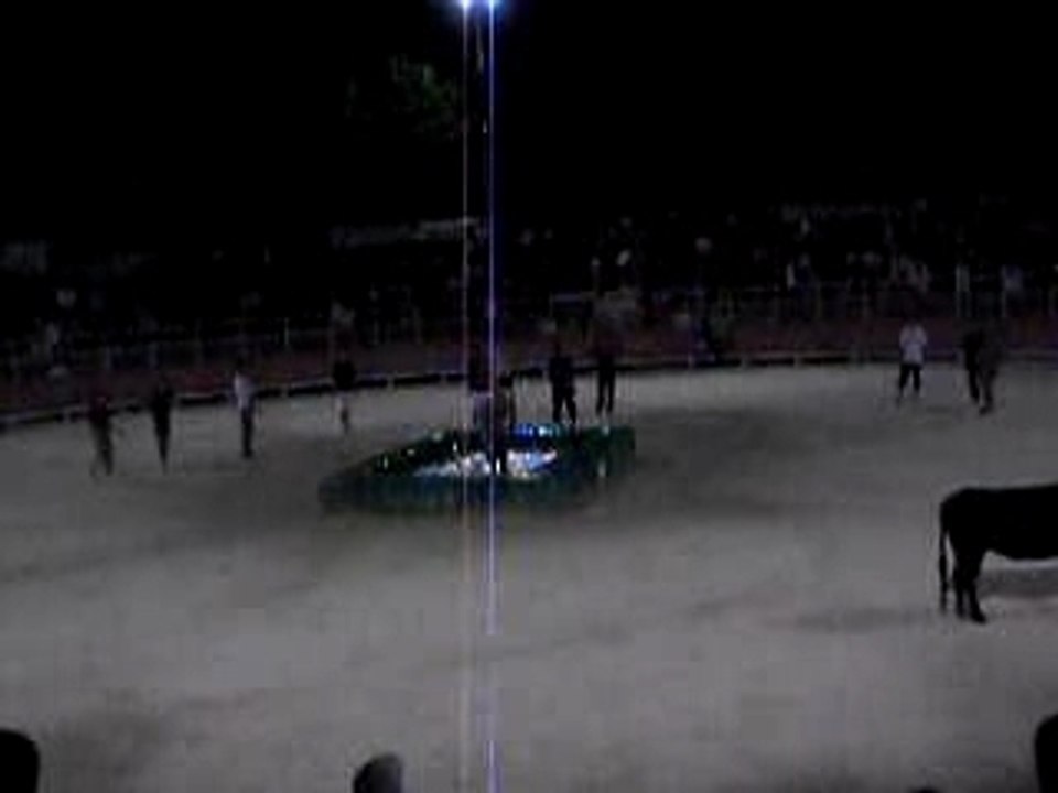 TORO PISCINE