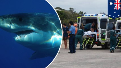 Teenage surfer dies after shark attack in Australia