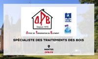 Traitement bois, combles, toitures à Nantes - Problèmes de termites (44)