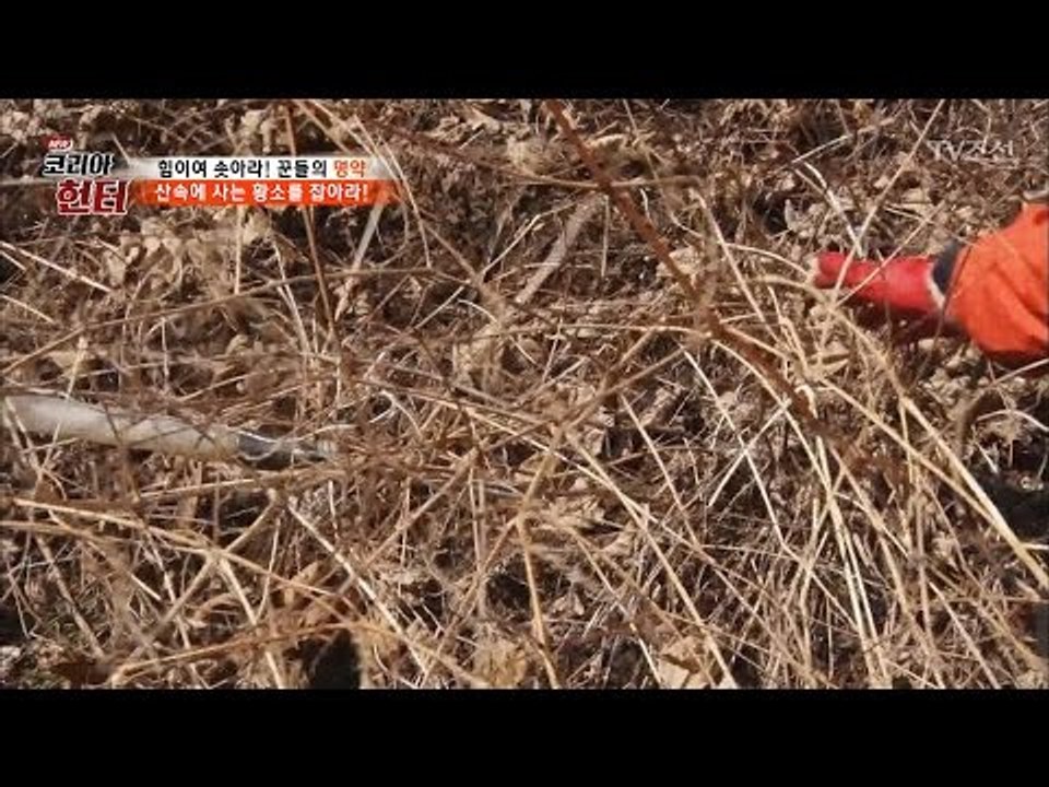 그냥 풀 인줄 알았더니 대박 대물?! [뉴 코리아 헌터] 43회 20170327