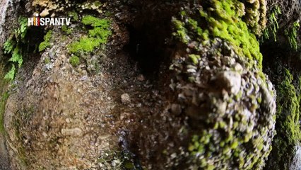 Irán - 1. Zahedán II 2. El Bazar de Teherán 3. Capoeira
