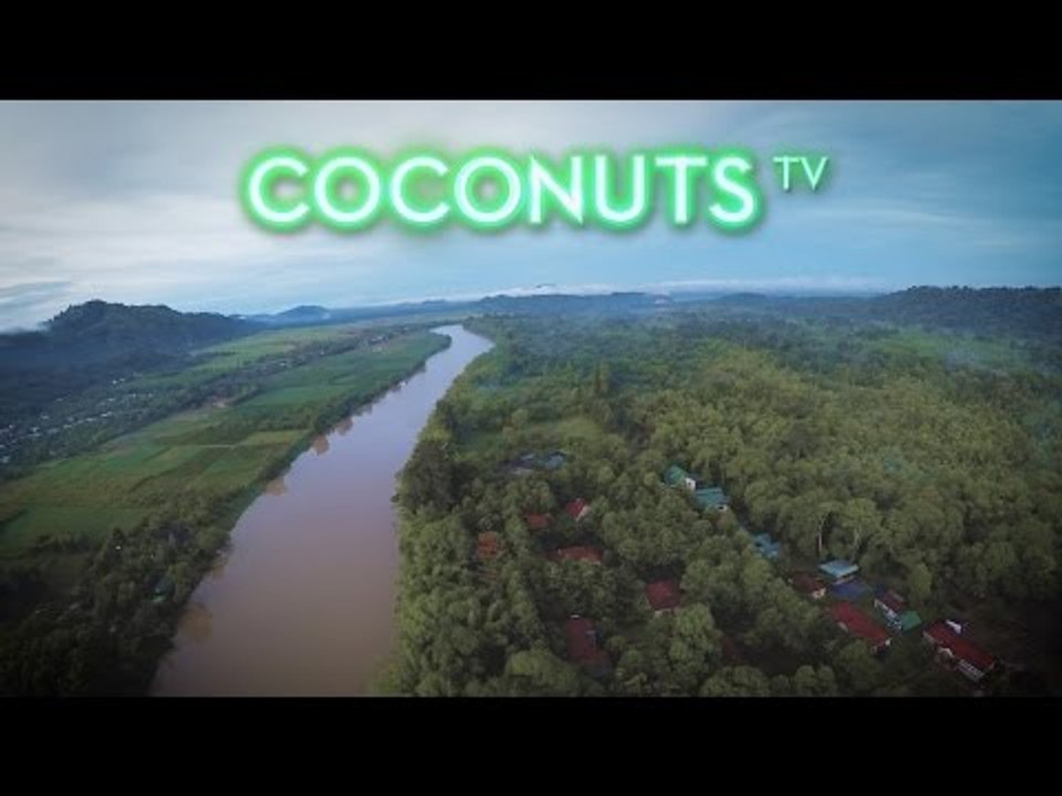 Getting Lifted: Cuc Phuong National Park | Coco...
