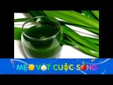 Mẹo Vặt Cuộc Sống - Có điều bạn chưa biết về lá dứa