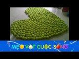 Mẹo Vặt Cuộc Sống - Mẹo hay với quả bóng tennis