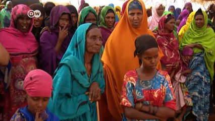 Somaliland: The desperate search for water | DW English