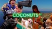 Coconuts TV: We make videos for the internet. Asia is our focus. (Sizzle Reel)