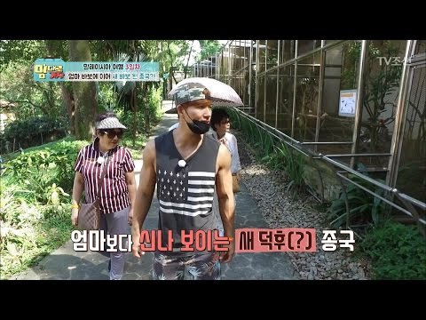 엄마 바보 김종국, 앵무새에 빠지다~ [맘대로 가자] 3회 20170403