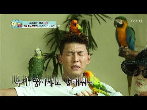 새들과의 단체 사진! 송재희는 공포심 느껴... [맘대로 가자] 3회 20170403