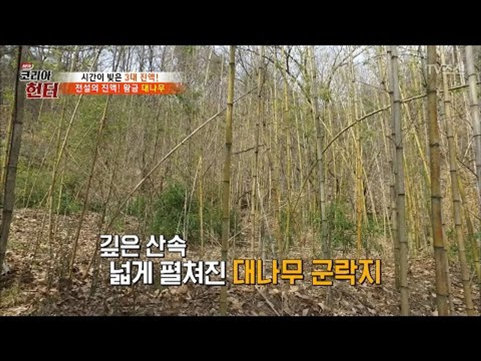 험난한 산길을 뚫고 도착한 곳은 황금밭! [뉴 코리아 헌터] 44회 20170403