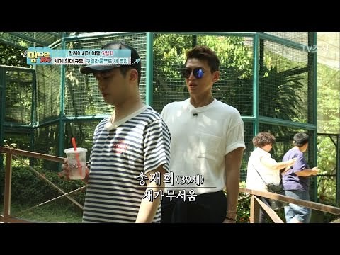 새 공포증 송재희! “덩칫값 좀 해~” [맘대로 가자] 3회 20170403